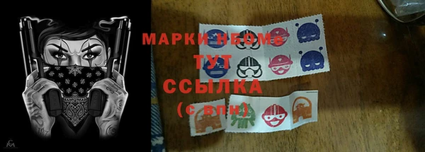 прущие крисы Новокубанск