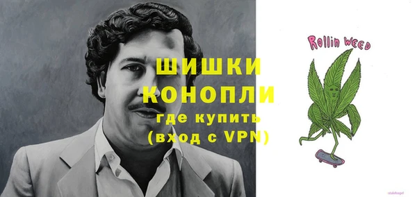 стаф Новодвинск