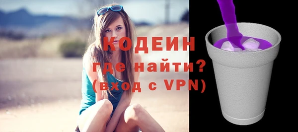 2c-b Новозыбков