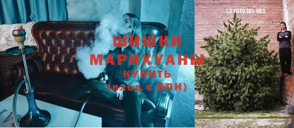 2c-b Новозыбков