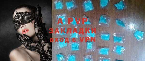 стаф Новодвинск