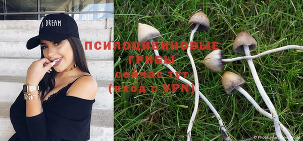 стаф Новодвинск