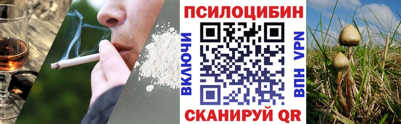 Псилоцибиновые грибы мухоморы  Шагонар 
